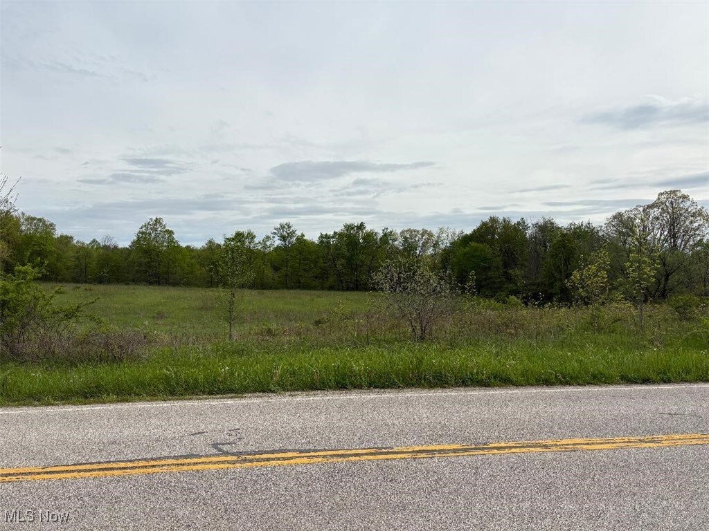 1648 2 Footville Richmond Rd, Jefferson, OH 44047 - photo 3