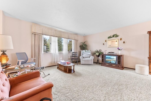 living room featuring carpet floors and baseboards