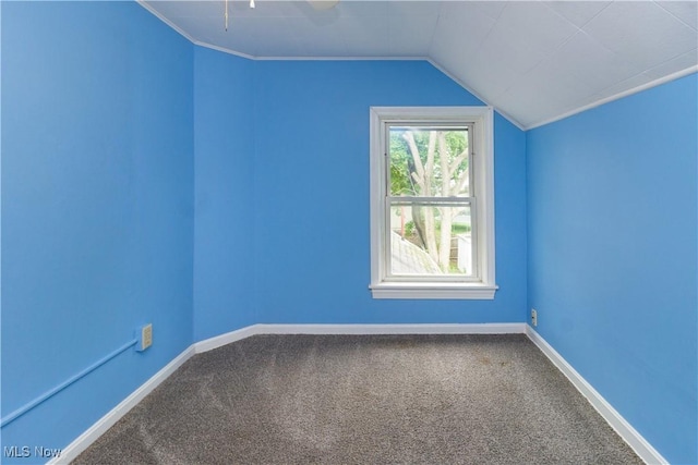 114 Mendel Ct, Elyria, OH 44035 - bonus room with carpet flooring, lofted ceiling, and baseboards