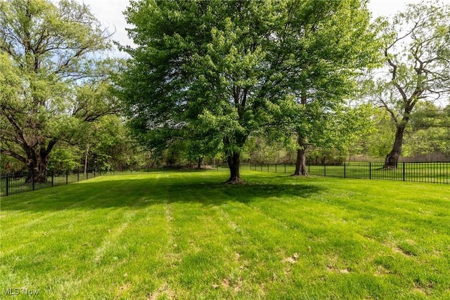 675 Wheatfield Dr, Aurora, OH 44202 - view of yard