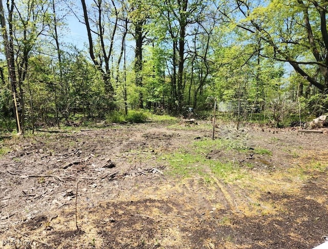 1998 Green Rd, Cleveland, OH 44121 - photo 14