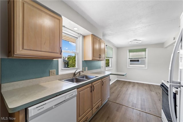 4760 Autumn Ln, Brooklyn, OH 44144 - kitchen with white dishwasher, a sink, dark wood finished floors, baseboards, and plenty of natural light