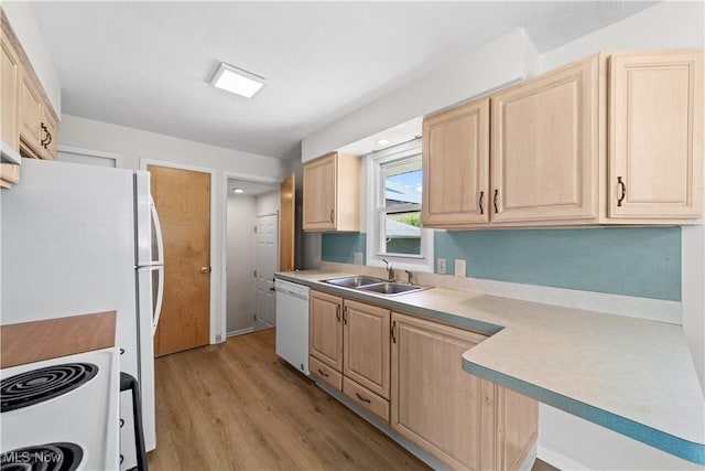 4760 Autumn Ln, Brooklyn, OH 44144 - kitchen with light brown cabinetry, white appliances, a sink, light wood-style flooring, and light countertops