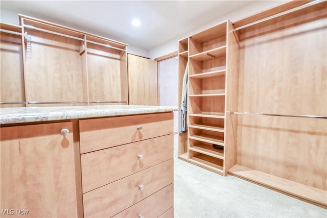 8220 Hermitage Rd, Concord, OH 44077 - walk in closet with carpet floors