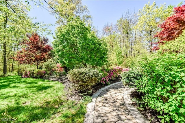 8220 Hermitage Rd, Concord, OH 44077 - view of yard