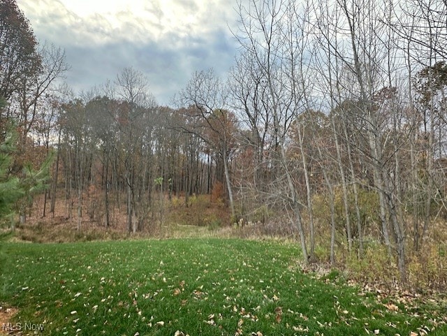 176 Highland Mist Cir, Hinckley, OH 44233 - view of wooded area