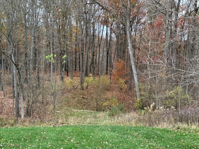 176 Highland Mist Cir, Hinckley, OH 44233 - view of nature