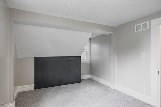 406 39th St, Vienna, WV 26105 - additional living space with carpet flooring, baseboards, lofted ceiling, and a textured ceiling
