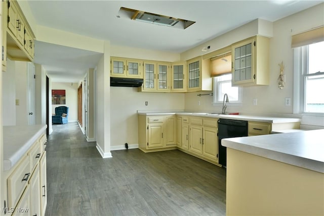 9960 Ridge Rdg, Farmdale, OH 44417 - kitchen featuring dishwasher, a sink, dark wood-style flooring, and light countertops