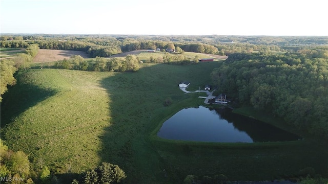 5216 Arrow Rd NW, Minerva, OH 44657 - drone / aerial view of a large body of water