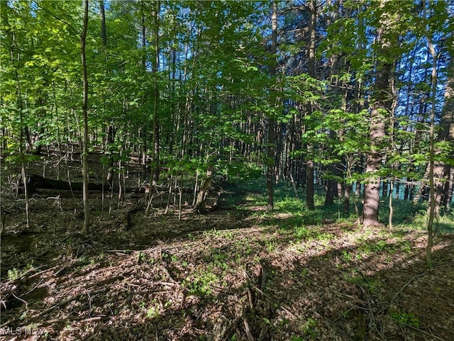view of local wilderness