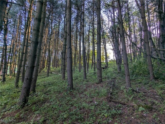 5216 Arrow Rd NW, Minerva, OH 44657 - view of woods