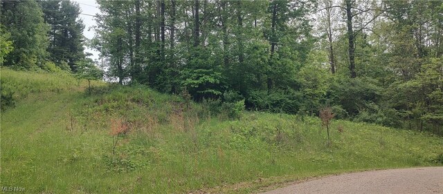 Scott Dr, Newcomerstown, OH 43832 - photo 3