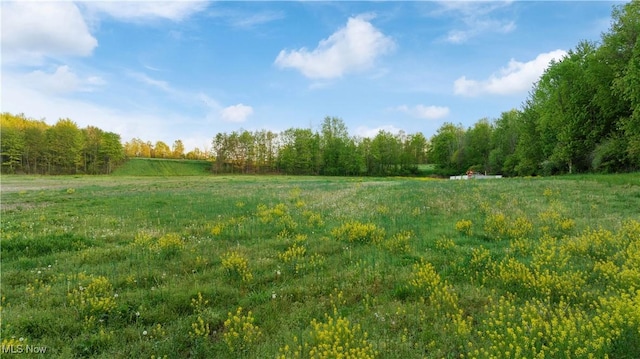 7116 Norwalk Rd, Medina, OH 44256 - view of yard with a view of countryside and a forest view