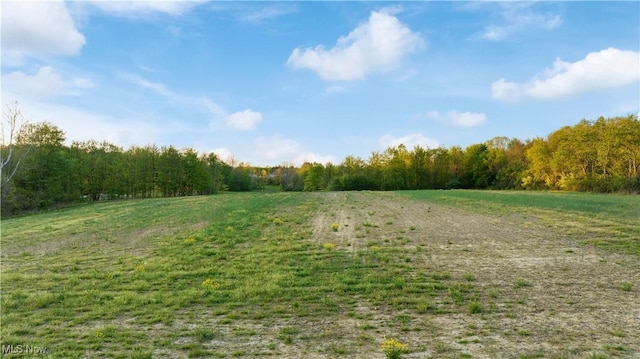 7116 Norwalk Rd, Medina, OH 44256 - view of yard featuring a view of trees and a view of rural / pastoral area
