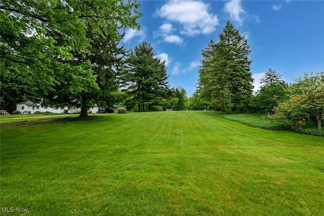 1883 Massillon Rd, Akron, OH 44312 - view of grassy yard