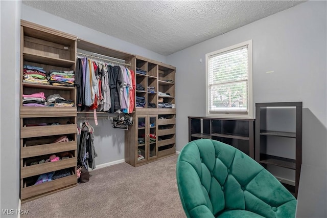spacious closet with carpet floors