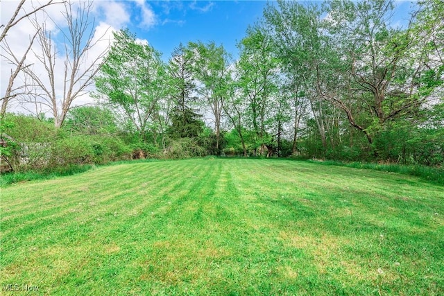 view of green lawn