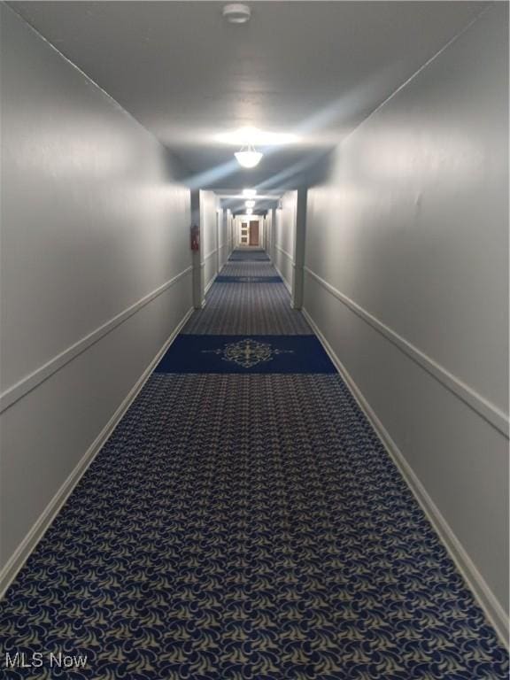 13800 Fairhill Rd Unit 515, Shaker Heights, OH 44120 - hall with carpet and baseboards