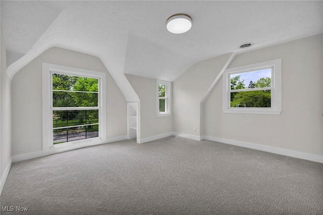 17617 Lomond Blvd, Shaker Heights, OH 44120 - bonus room featuring lofted ceiling, healthy amount of natural light, carpet flooring, and baseboards