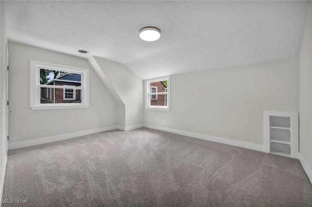 17617 Lomond Blvd, Shaker Heights, OH 44120 - additional living space with lofted ceiling, carpet, a textured ceiling, and baseboards