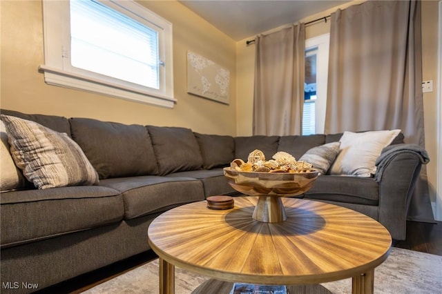 living room featuring wood finished floors