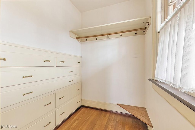 245 Merriman Rd, Akron, OH 44303 - walk in closet with light wood-style flooring