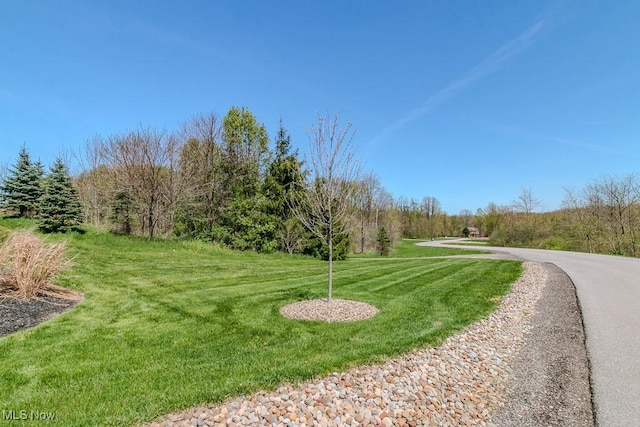 Starbush Ct, Chagrin Falls, OH 44023