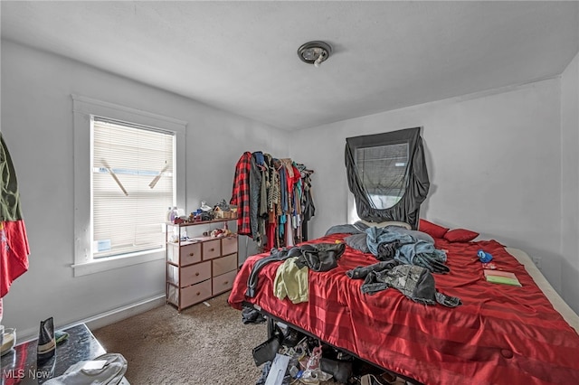 132 Irondale St, Elyria, OH 44035 - bedroom featuring carpet floors