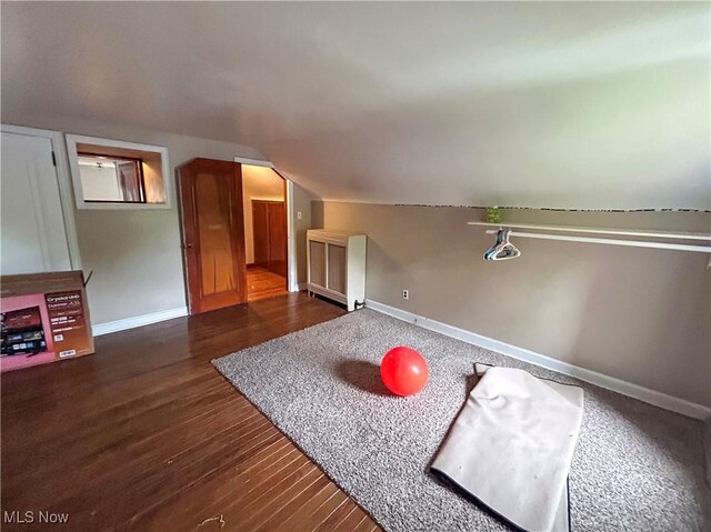 553 Willard Ave SE, Warren, OH 44483 - bonus room featuring lofted ceiling and dark wood-type flooring