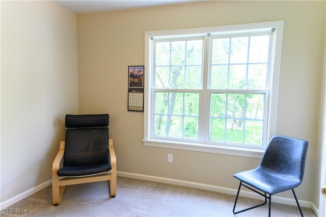 sitting room with baseboards and carpet