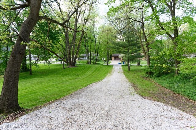 view of dirt / gravel road