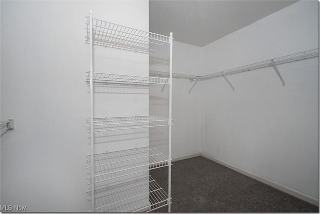walk in closet with carpet floors