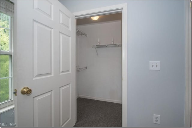 view of closet