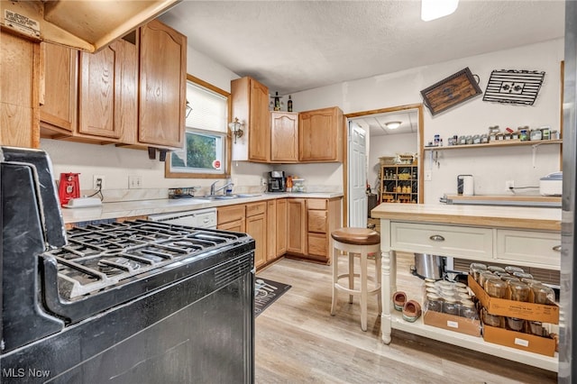 1821 E 30th St, Lorain, OH 44055 - kitchen featuring black range with gas stovetop, light wood-style flooring, light countertops, a sink, and a textured ceiling