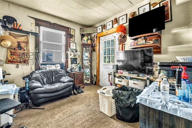 1821 E 30th St, Lorain, OH 44055 - sitting room featuring carpet