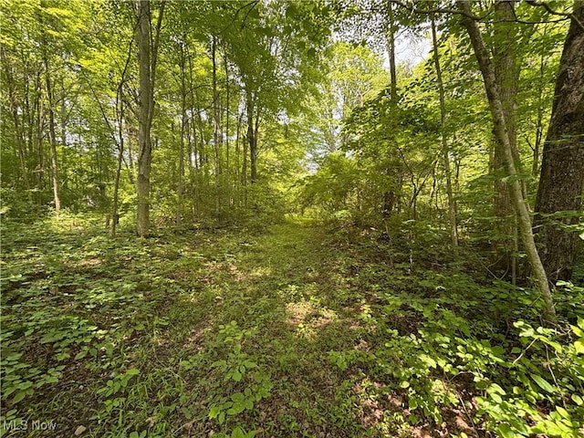 14500 Wolfe Rd, Amesville, OH 45732