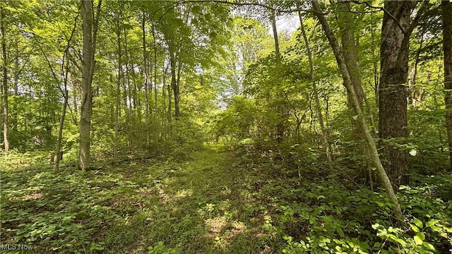 14500 Wolfe Rd, Amesville, OH 45732