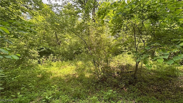 14500 Wolfe Rd, Amesville, OH 45732