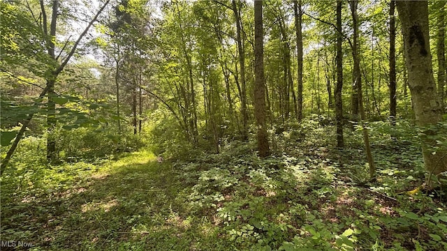 14500 Wolfe Rd, Amesville, OH 45732
