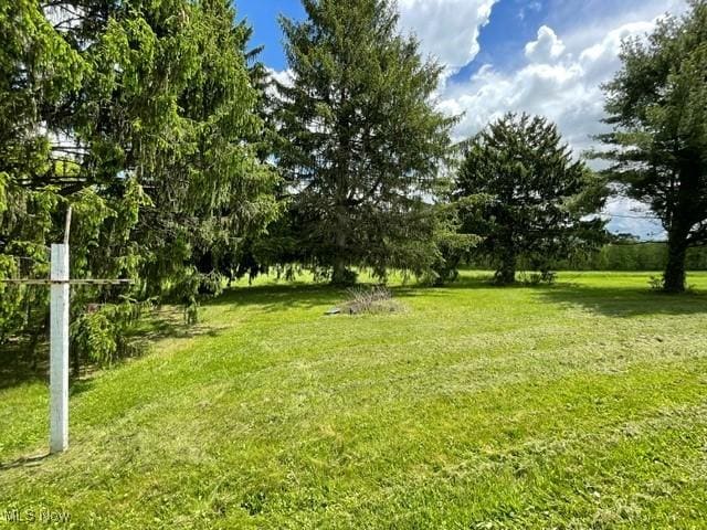 362 Jettie Ave NE, East Canton, OH 44730 - view of green lawn