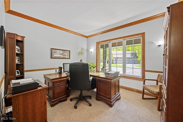 15020 Steelhead Run, Chardon, OH 44024 - office space featuring carpet flooring, ornamental molding, and baseboards