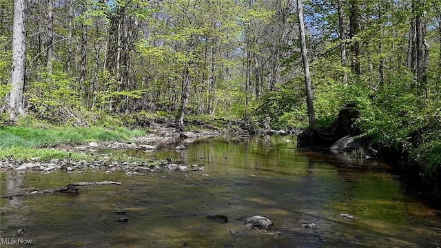15020 Steelhead Run, Chardon, OH 44024 - water view with a forest