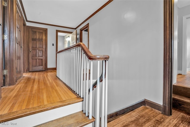 555 E Milton St, Alliance, OH 44601 - foyer with wood-type flooring, ornamental molding, and baseboards