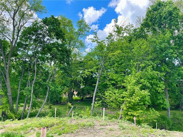 9025 Jackson St, Mentor, OH 44060 - photo 7