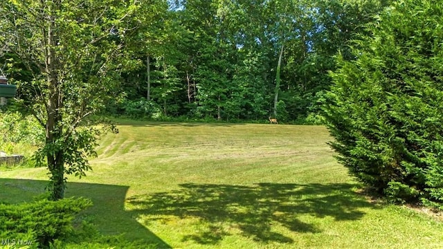 477 Burnt Hill Rd, Williamstown, WV 26187 - photo 43
