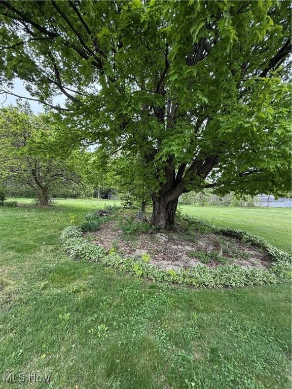 view of green lawn