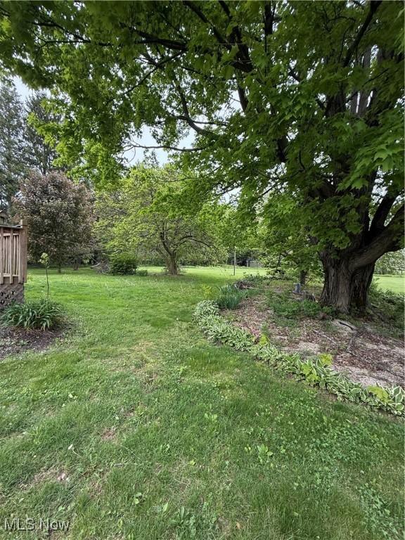 view of grassy yard