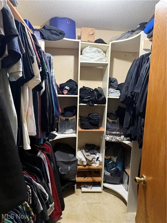 walk in closet featuring carpet floors