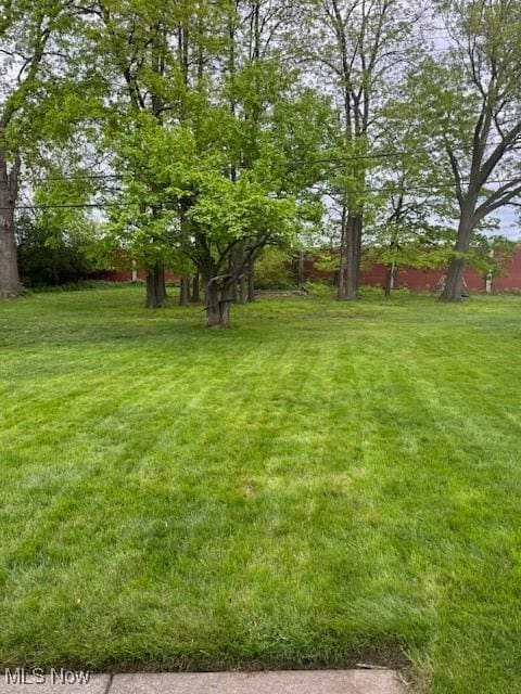 5699 Meadow Ln, Bedford Heights, OH 44146 - view of green lawn